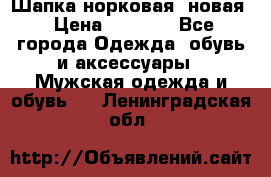 Шапка норковая, новая › Цена ­ 5 000 - Все города Одежда, обувь и аксессуары » Мужская одежда и обувь   . Ленинградская обл.